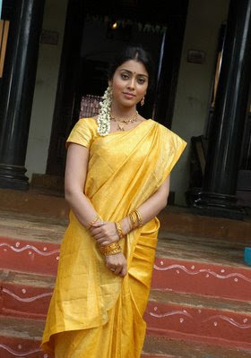 Shriya Saran in Traditional Silk Saree