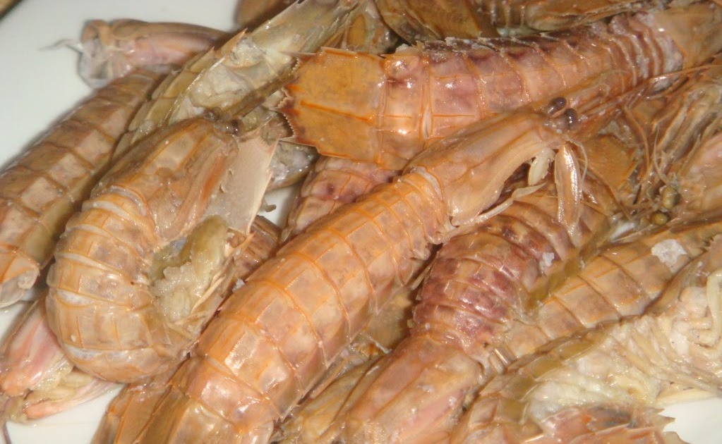 savourylife Mantis Prawn Mantis