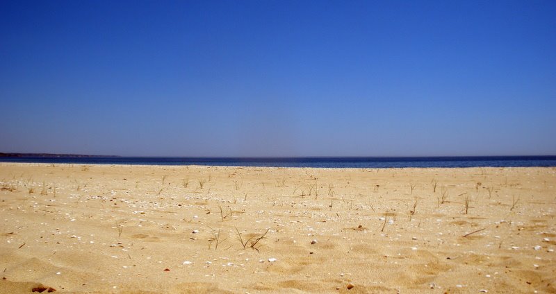 [P1010252-1.JPG]