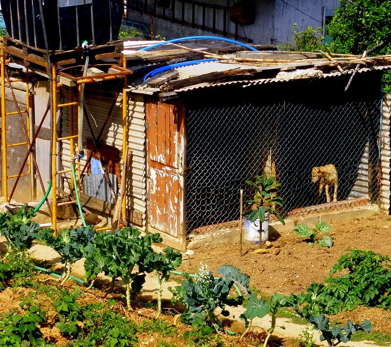 [P1010195-1.JPG]