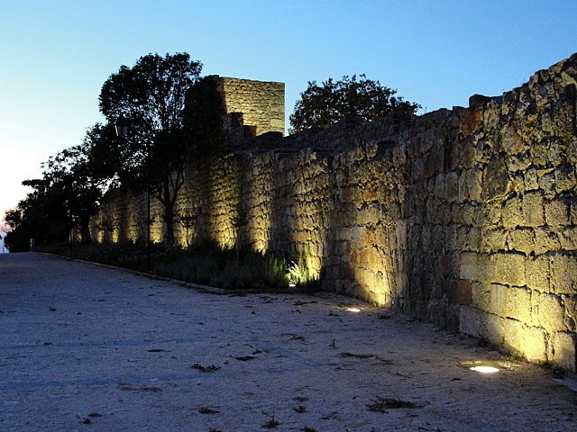 [DSC00248.JPG]