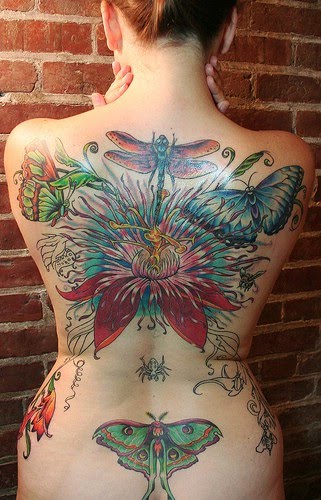 dragonfly tattoo designs dragonfly tattoo art. dragonfly tattoo designs