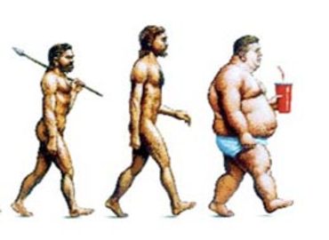 [20070910fat_evolution.jpg]