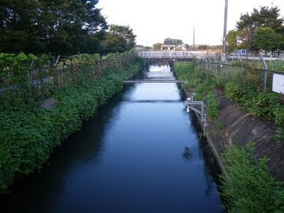見沼代用水西縁