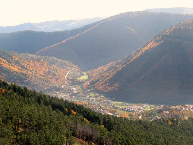 [IMG_6698.JPG]
