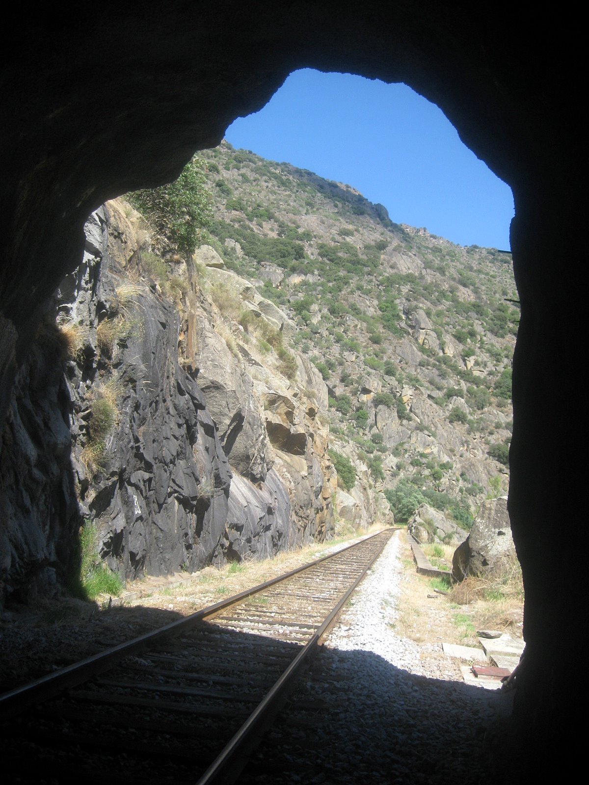 [IMG_3652.JPG]