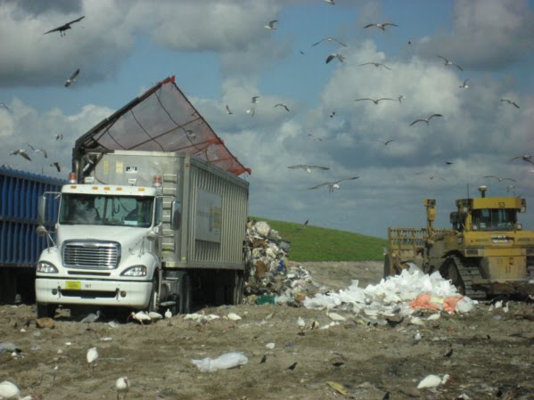 [landfill26.jpg]