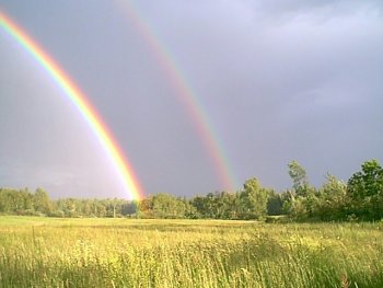 [rainbows.jpg]