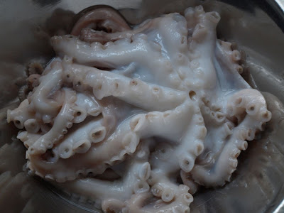 Octopus 1