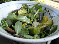 Purlsane - Weeds in your Salad!