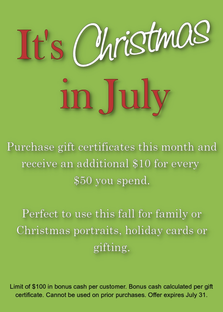 [Christmas+in+July+sale.jpg]