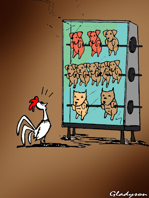 Televisao De Cachorro