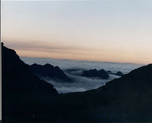 VISTA AL LLANO