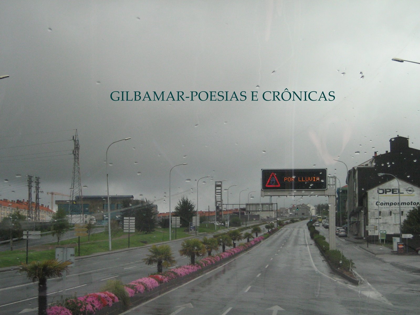 [IMG_8373.JPG]