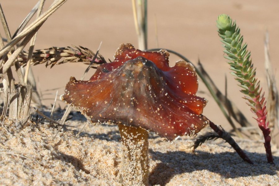 medical science news articles