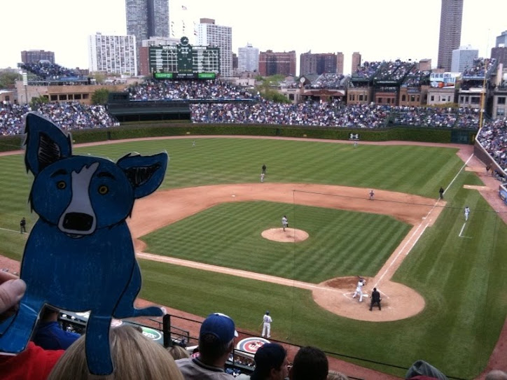 Blue dog at the Cubs game