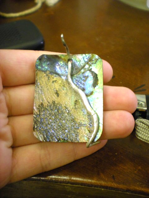 paua shell from the sea