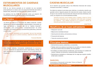 estiramientos cadenas musculares jorge ramon gomariz pdf estiramientos cadenas musculares diciembre 2009 estiramientos cadenas musculares jorge ramon gomariz pdf estiramientos cadenas musculares diciembre 2009