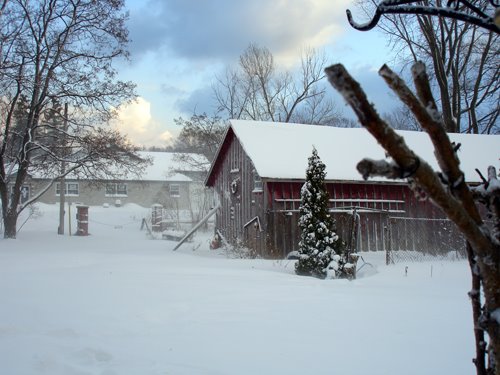 [winterbarn.jpg]
