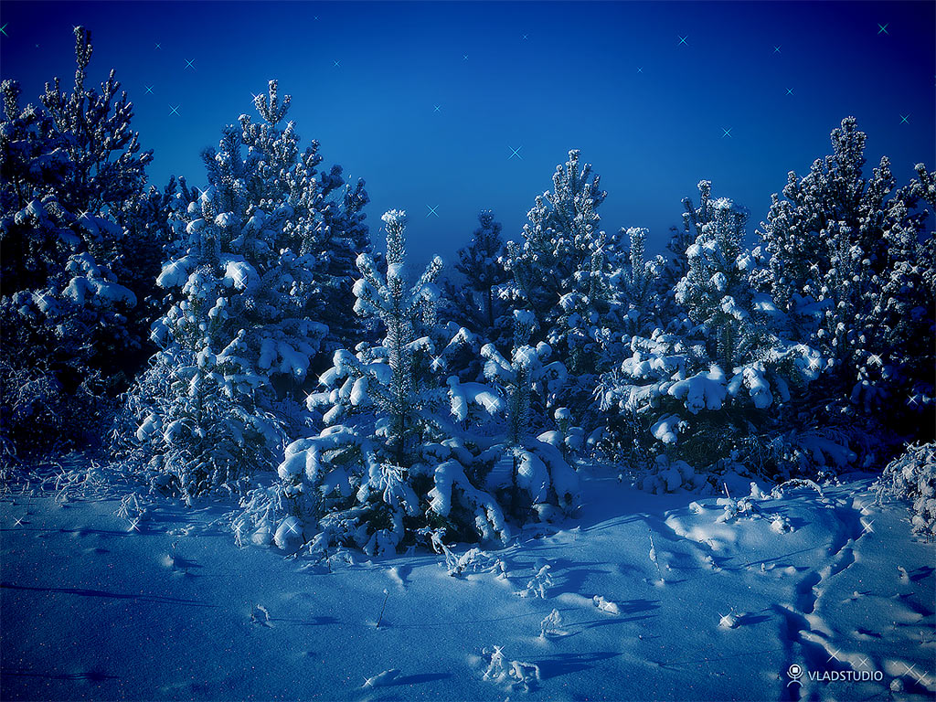 http://4.bp.blogspot.com/_uTGKd6u5pJ4/TQIAd2rKlyI/AAAAAAAAAHs/RO5Xs3XwlN0/s1600/Siberian-winter-wallpaper-vladstudio.jpg