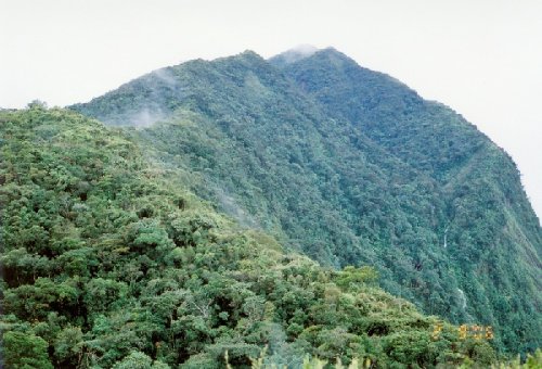 Ekspedisi Gunung Korbu- 2008