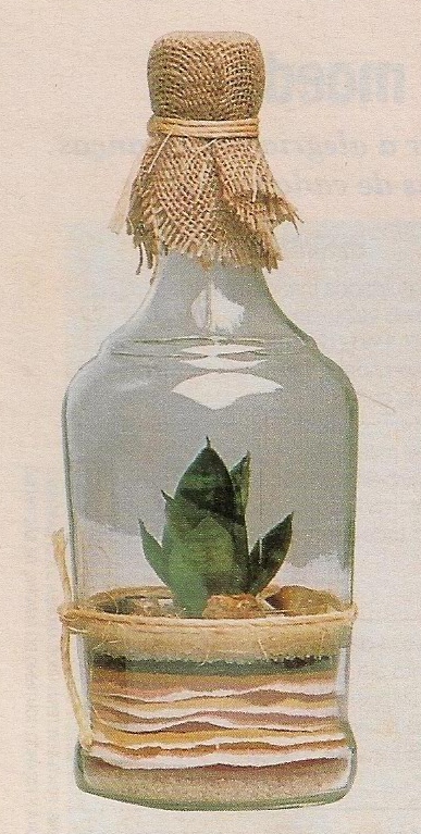 mini jardim jornal hoje:Terrários são pequenos jardins cultivados dentro de vidros fechados mini jardim jornal hoje:Terrários são pequenos jardins cultivados dentro de vidros fechados
