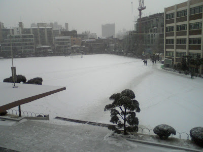 Snow on Jan. 16, 2009