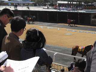 paddock parade