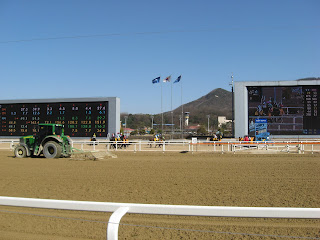 race preparations