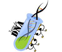 Valor de exame de dna