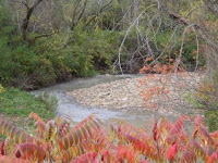 Crawford Creek