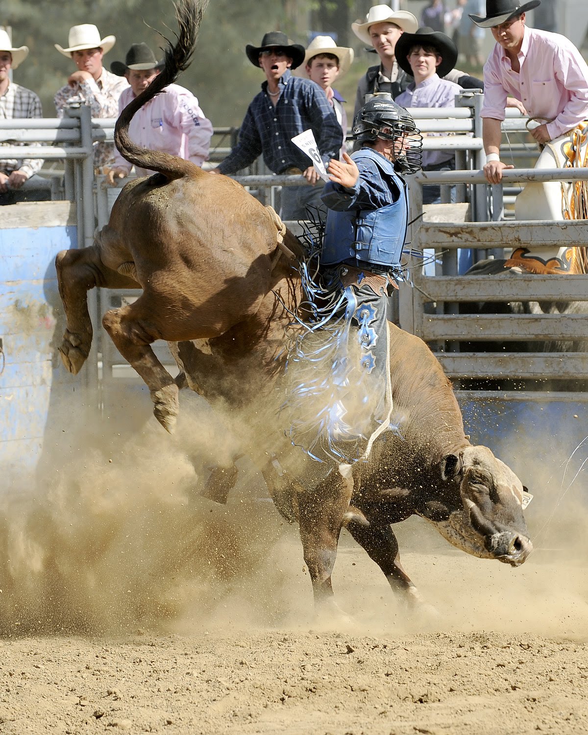 Bronc Riding Wrecks