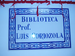 Biblioteca Luis Odriozola