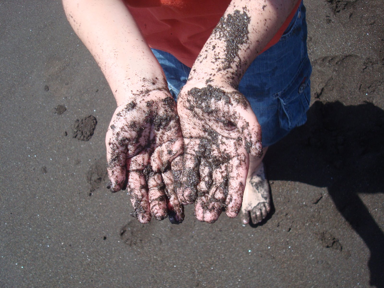 [DSC06466.JPG]