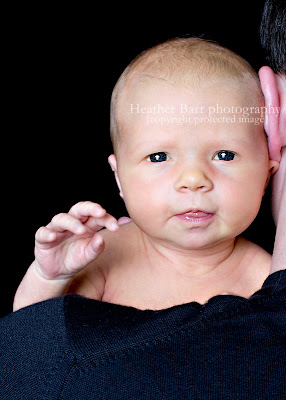 cute newborn baby girl cute newborn baby girl