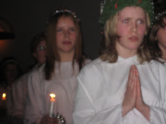 Luciatärna.