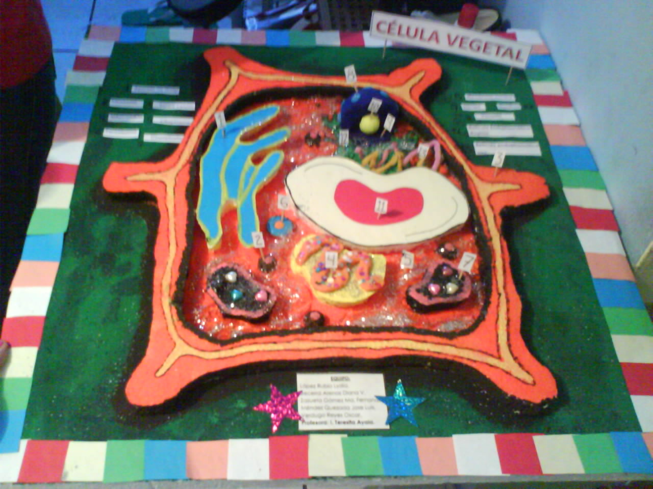 ... VIRTUAL EN PRIMARIA Y SECUNDARIA: HICIMOS UNA MAQUETA DE LA CÉLULA