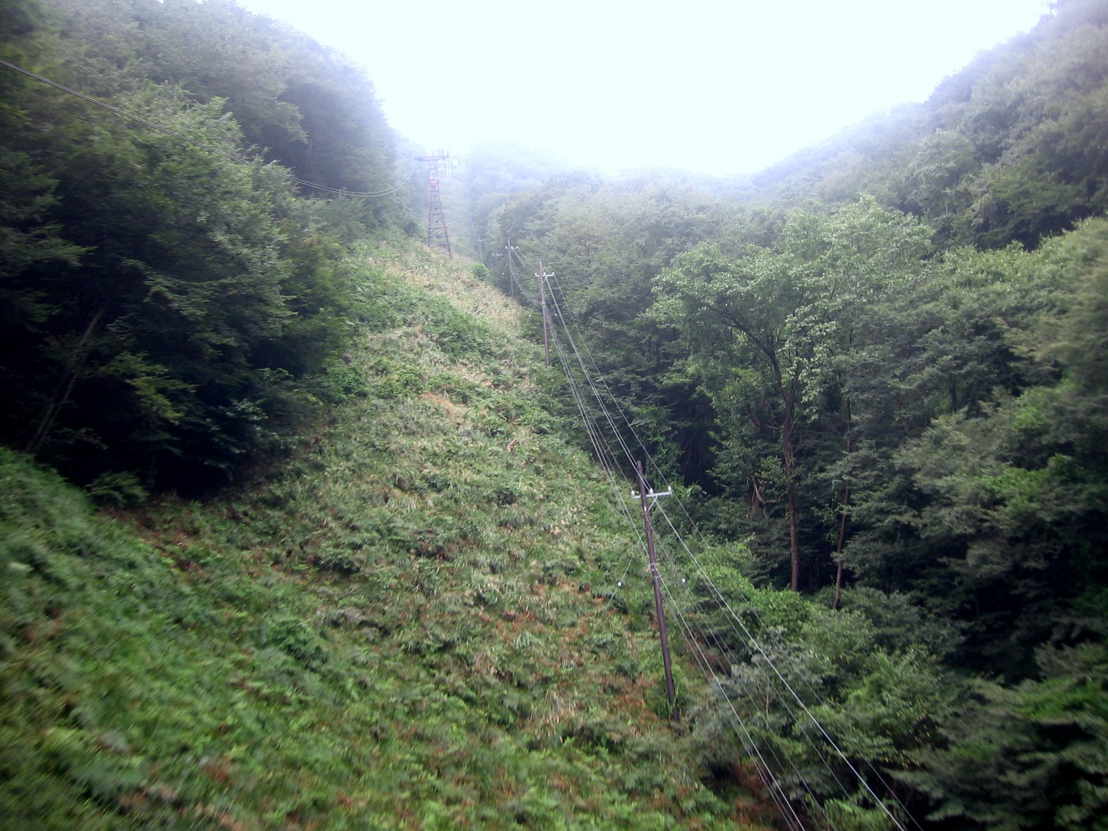 [IMG_6402.JPG]