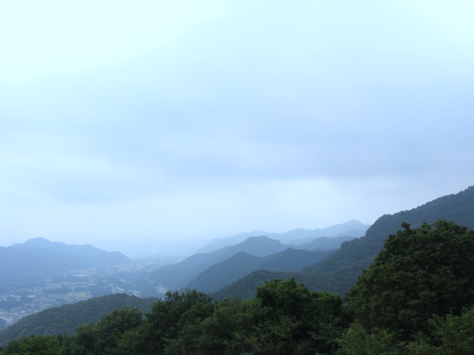 [IMG_6415-1.JPG]