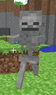 Skeleton_minecraft.png