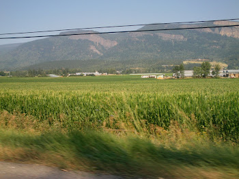 Salmon Arm Area