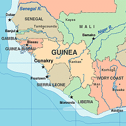 Guinea Bound