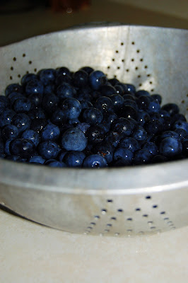 Blueberry 1300