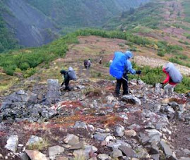 Alaska's Denali State Park