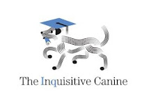 Dog Training: Privates, Workshops, Virtual Counseling