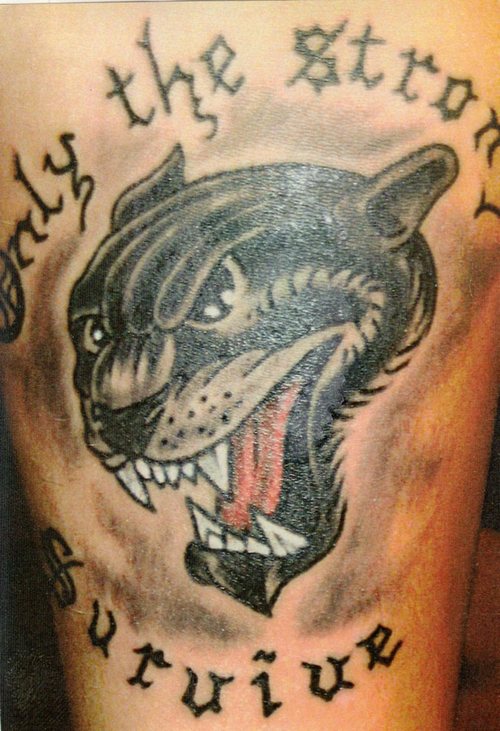 tiger1t812 / Tiger Lion Panther Tattoo Designs / Free Tattoo Designs, tiger1t812 / Tiger Lion Panther Tattoo Designs / Free Tattoo Designs,