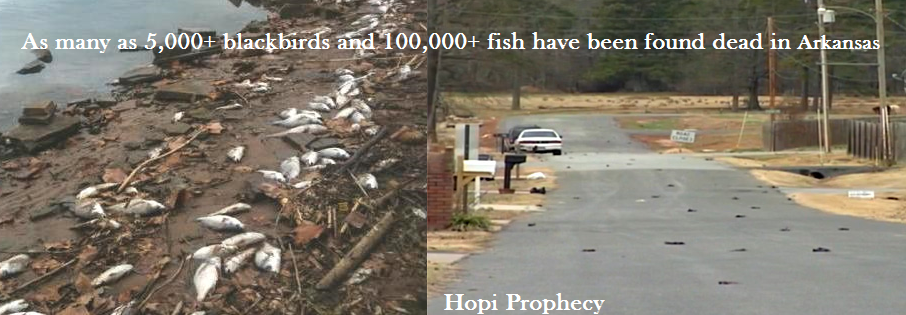 Arkansas birds falling from the sky fish dying hopi prophecy:a great Arkansas birds falling from the sky fish dying hopi prophecy:a great