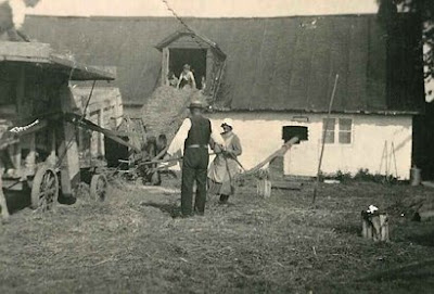 Omrejsende tærskeværk hos Anne og Peter Larsen, Renge