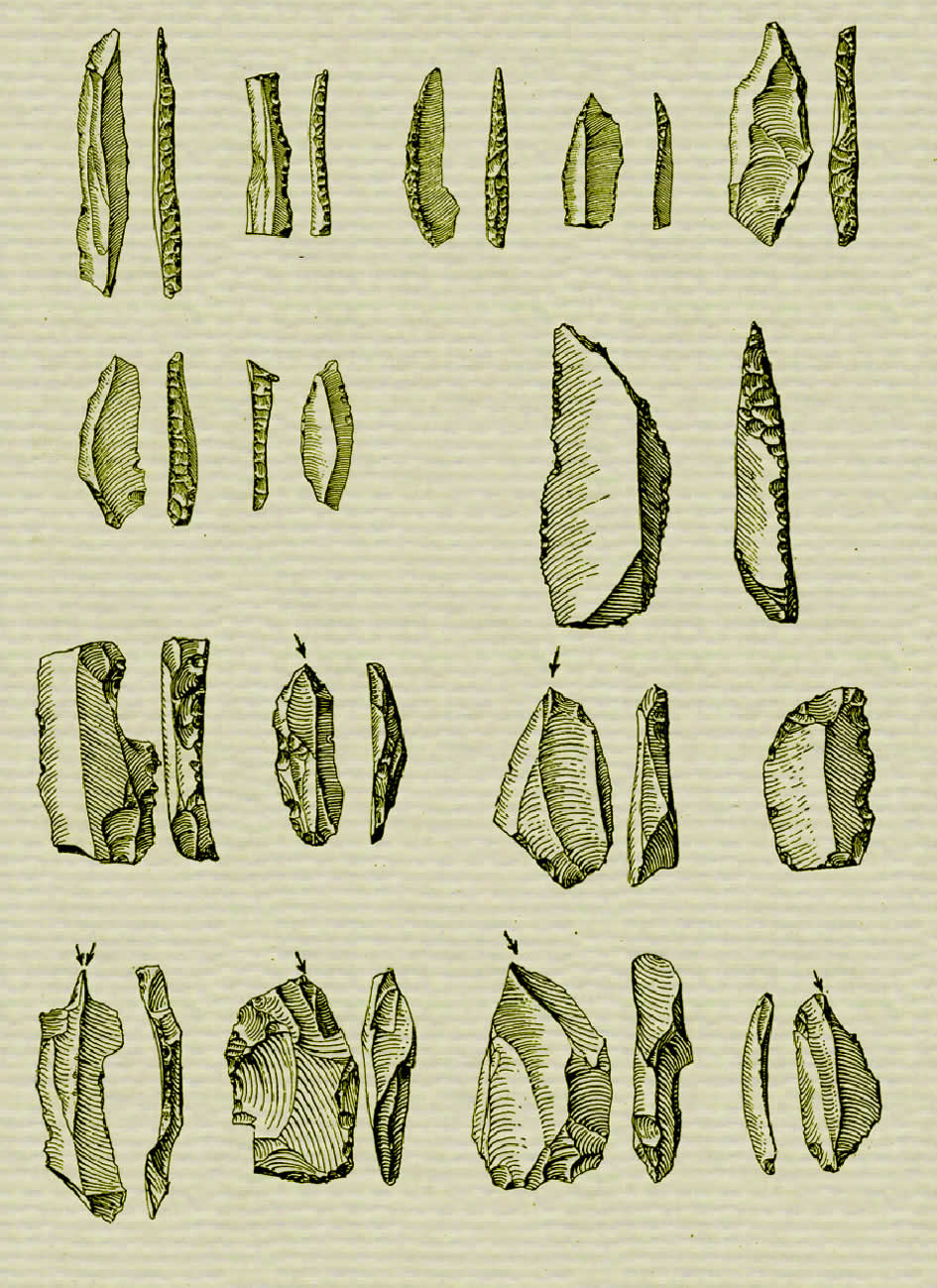 Stone Age Artifacts 082310?? Vector Clip Art Free Clip Art Images