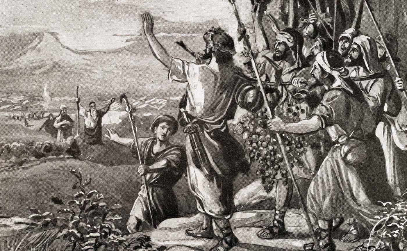 Bible Stories Aaron 020911 Bible Vector 10 Full Versions of the